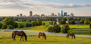 Fayette