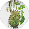 Client Avatar